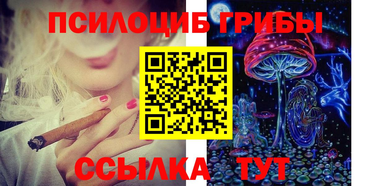 дарнет шоп  Вход с VPN  Шадринск  Псилоцибиновые грибы MAGIC MUSHROOMS 